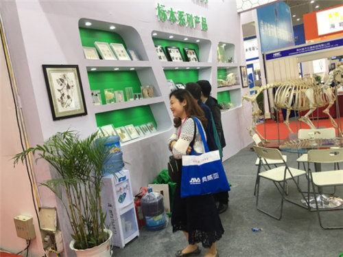 祝賀雨林參展4月教育“兩會”圓滿成功