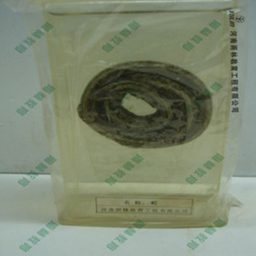 蛇浸制標(biāo)本